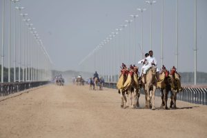 DP World Tour 2026 : tout savoir sur la Race to Dubai