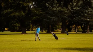 Sac de golf trépied : poids, harnais et séparations