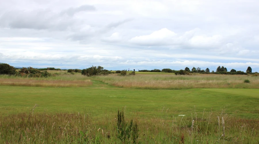 Un fairway tondu entouré d'herbes hautes, le rough, sur un parcours de golf